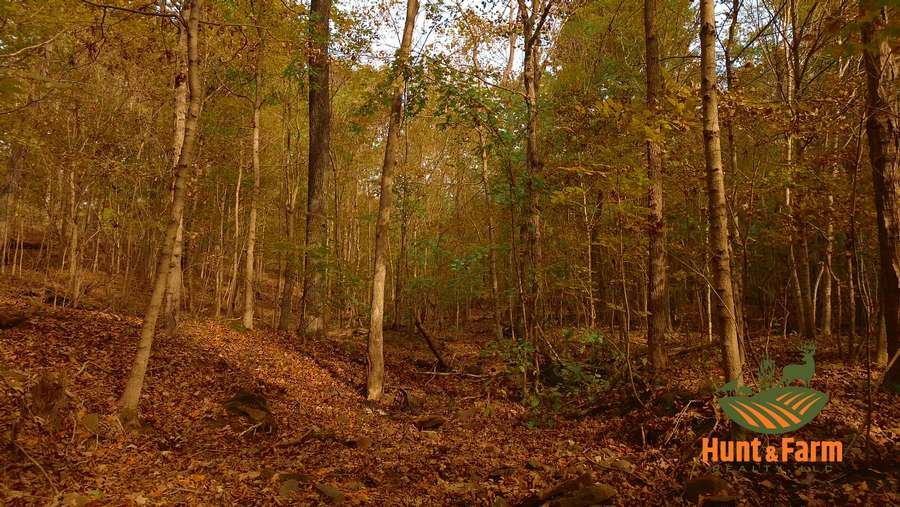 Still 2025-11-29 081237_1.8.1.jpg